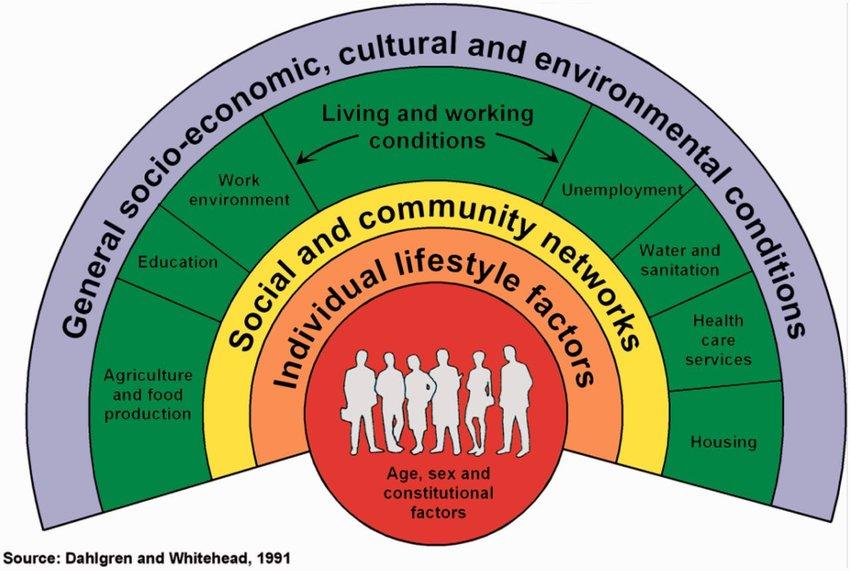 condizioni socio-economiche È uno stato di completo benessere fisico, mentale, sociale e non consiste soltanto nell assenza di malattia o infermità