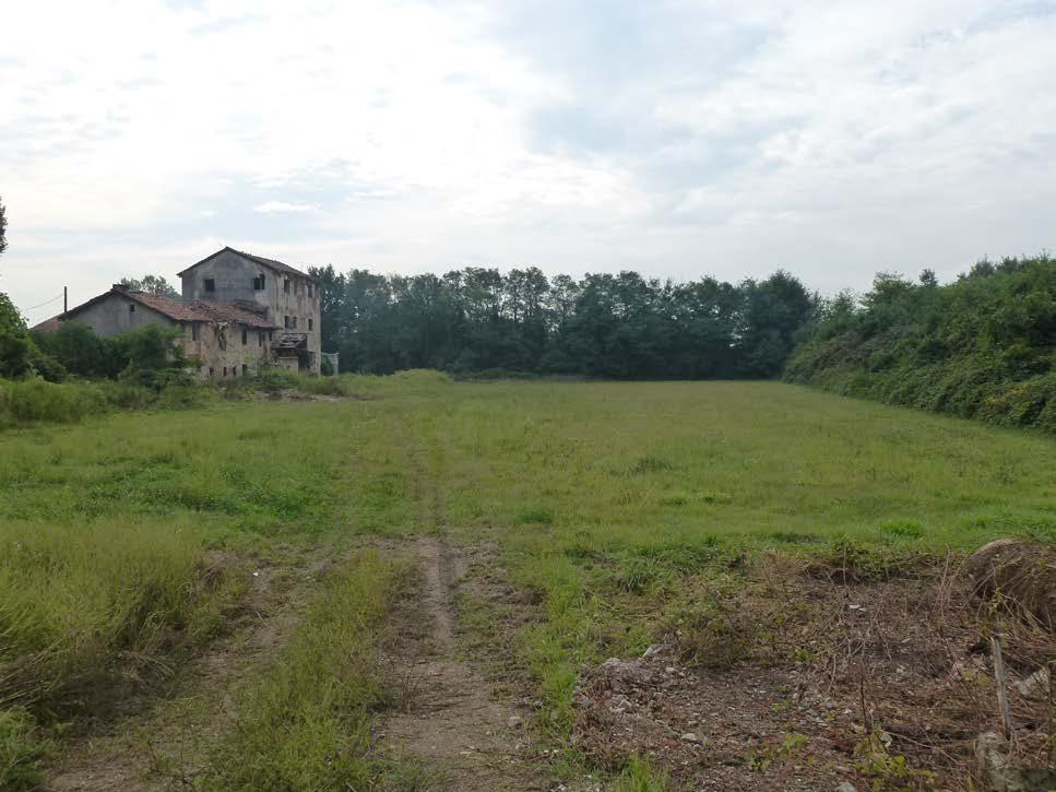 Un cuore agricolo per la città di Milano.