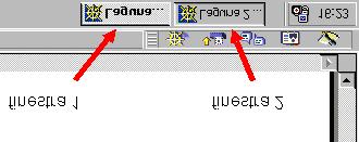 illustrazione seguente. In basso alla schermata, nella barra degli strumenti, appaiono due finestre Netscape ridotte ad icona.