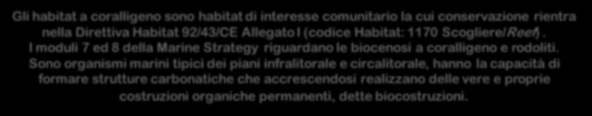 I moduli 7 ed 8 della Marine Strategy riguardano le biocenosi a coralligeno e rodoliti.