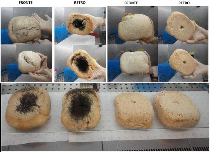 Una esperienza importante: conservazione del pane