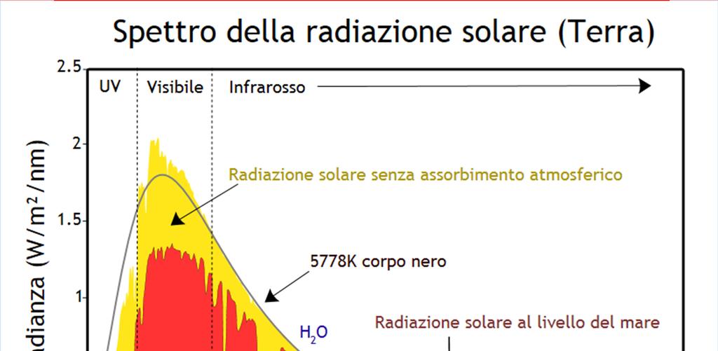 Dettaglio