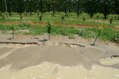 quantità di acqua; - la deposizione dei sedimenti sul terreno è molto rapida;