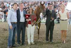 The Reserve Champion Stallion went to another fascinating horse, *IM Icare Cathare (Padrons