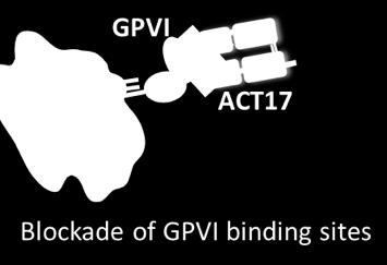 Acute Ischemic Stroke Interventional Study (ACTIMIS) (Fase Ib-II) ACT017, frammento di anticorpo monoclonale umanizzato con alta affinità per la glicoproteina VI (GPVI) delle piastrine.