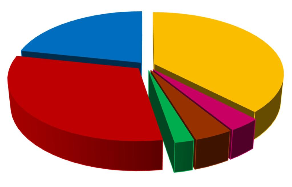 Budget Horizon 2020 Totale: 78,6 miliardi di euro in 7 anni; superiore del 30% rispetto a