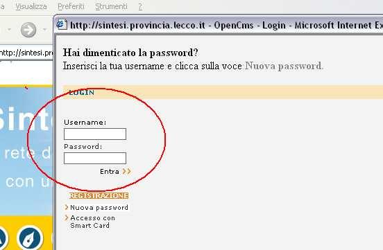 Nella mail di risposta il richiedente troverà: la conferma della username inserita in sede di registrazione; la password di accesso.