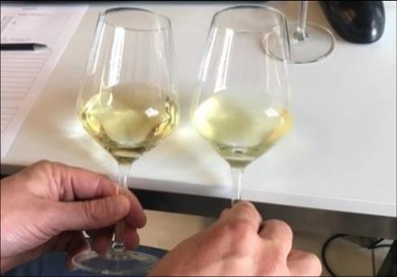 Le prove di laboratorio sono state fatte misurando il colore CIELAB di un vino bianco prima e dopo 4 mesi di stoccaggio a 30 C.