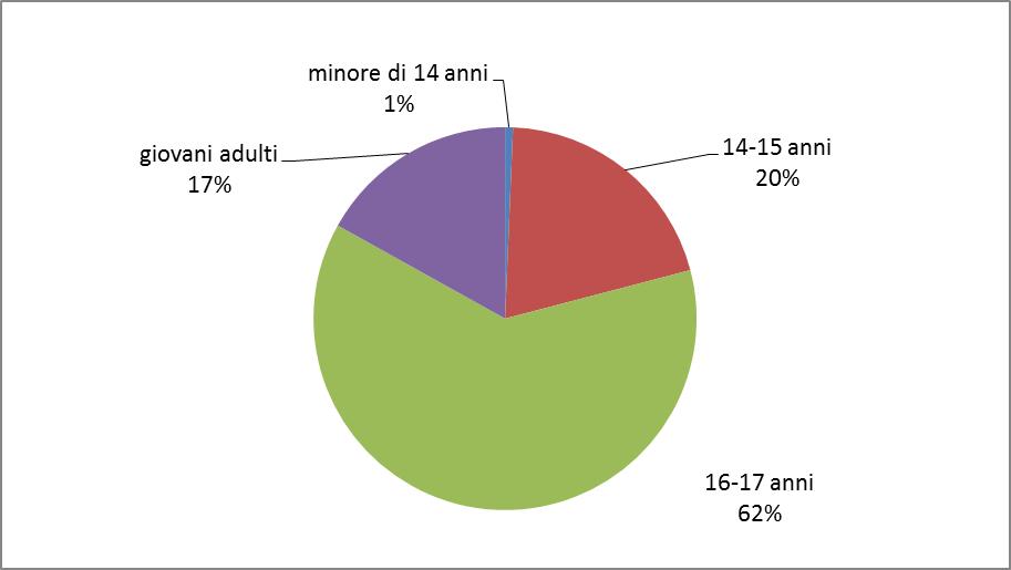 Grafico 2.4 Collocamenti in comunità nell'anno 2010: composizione percentuale secondo l età dei soggetti. Grafico 2.