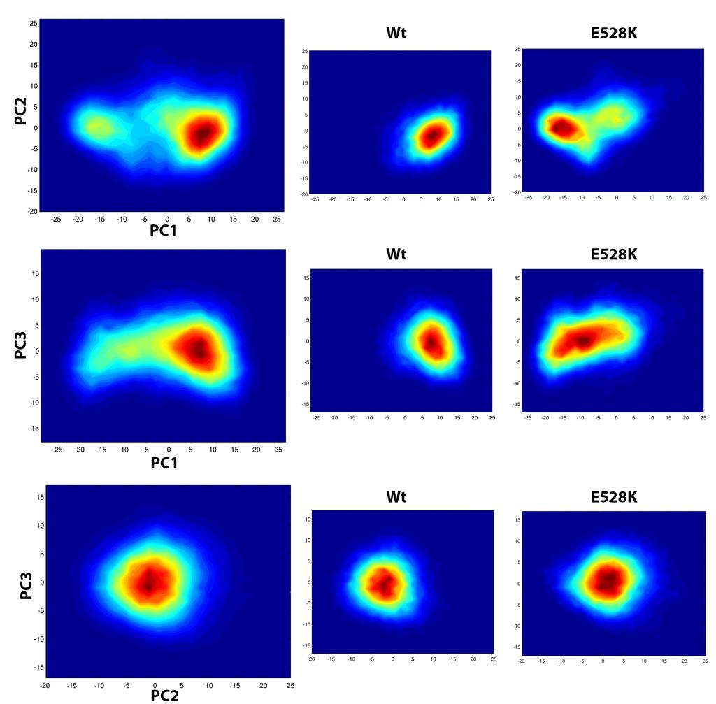 Figure S5. Projections of the combined macro-trajectory (wild-type + mutant) along the first principal components (PCs) derived by principal component analysis (PCA).