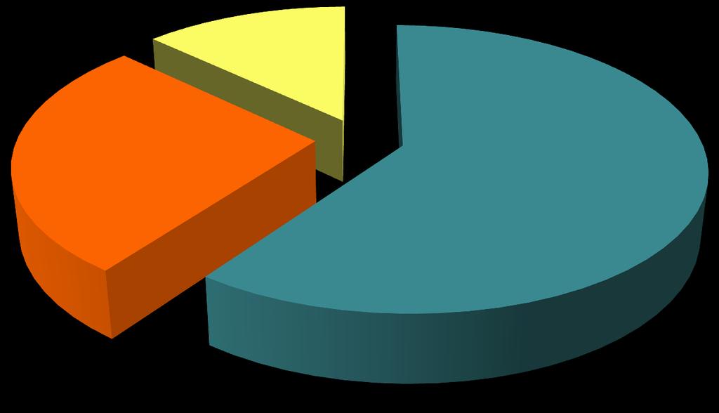 Il mercato delle sponsorizzazioni in Italia (anno 2013) +6,3% 13%