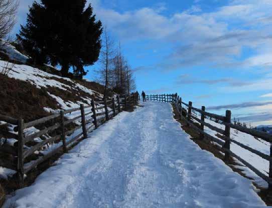 domenica 27 gennaio Giornata sulla neve a Malga Getrum - T Piacevole giornata sulla neve per ragazzi e famiglie, presso la Malga Getrum in Val Sarentino. Partenza da San Martino (1.