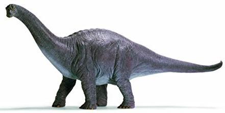 Nome: Apatosaurus Luogo di nascita: Nord America Altezza/peso/lunghezza: Alto 12m, pesa 30 tonnellate, è lungo 21m Professione: Erbivoro ( foglie di palma, aghi,