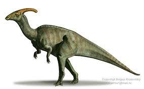 Nome: Parasaurolophus Luogo di nascita: America del nord Altezza/peso/lunghezza: altezza 3m., peso 3,5 tonnellate, lunghezza 10 m.