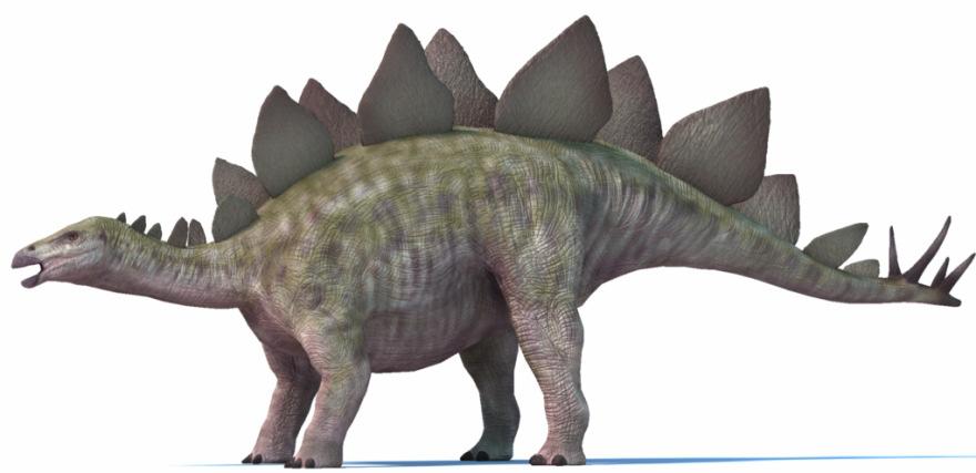 LUOGO DI NASCITA: Stegosaurus. Stati Uniti. ALETEZZA/PESO/LUNGHEZZA: 6-7 m.,peso 2t., lunghezza con una media di 6-7 m. Erbivoro.