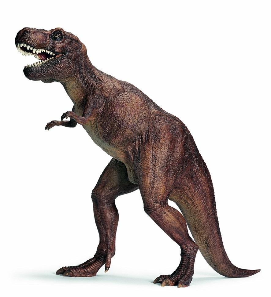 Nome: Luogo di nascita: Altezza/peso/lunghezza: Professione: Segni particolari: Tirannosaurus rex. Nord America.