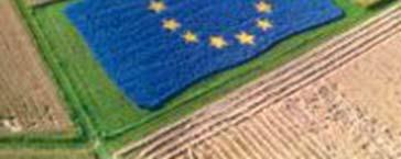 LE PROSPETTIVE (VICINE) Le politiche europee post 2013 assegnano al tema del trasferimento della conoscenza e della diffusione dell innovazione in agricoltura una rinnovata importanza,,prevedendo