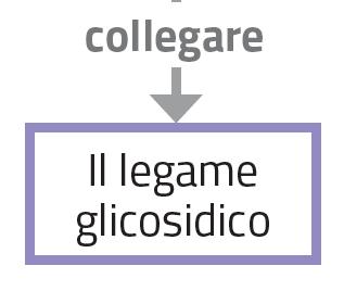 glicosidico è il legame che si forma a seguito della reazione di condensazione tra due molecole di monosaccaridi.