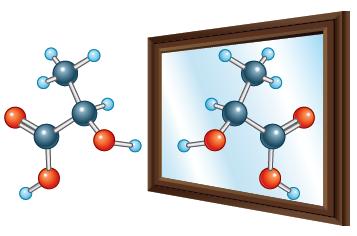 Gli stereoisomeri sono isomeri che differiscono unicamente per la diversa disposizione nello spazio degli atomi.