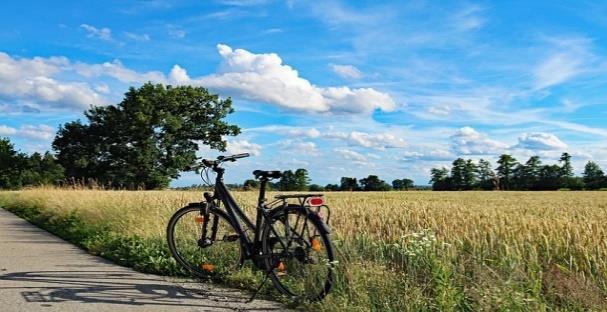 nelle Sistemi di mobilità lenta: vie dei pellegrini,