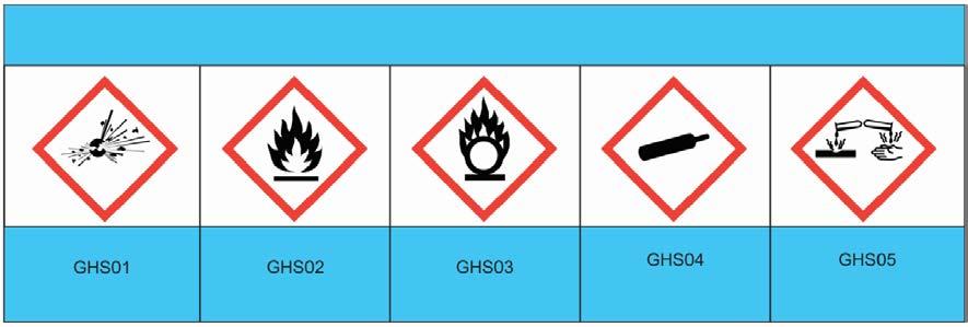 Parte 1: informazioni generali Pericoli fisici Explosivo Inflammabile Comburente Gas compressi Corrosivo Pericoli per la salute?