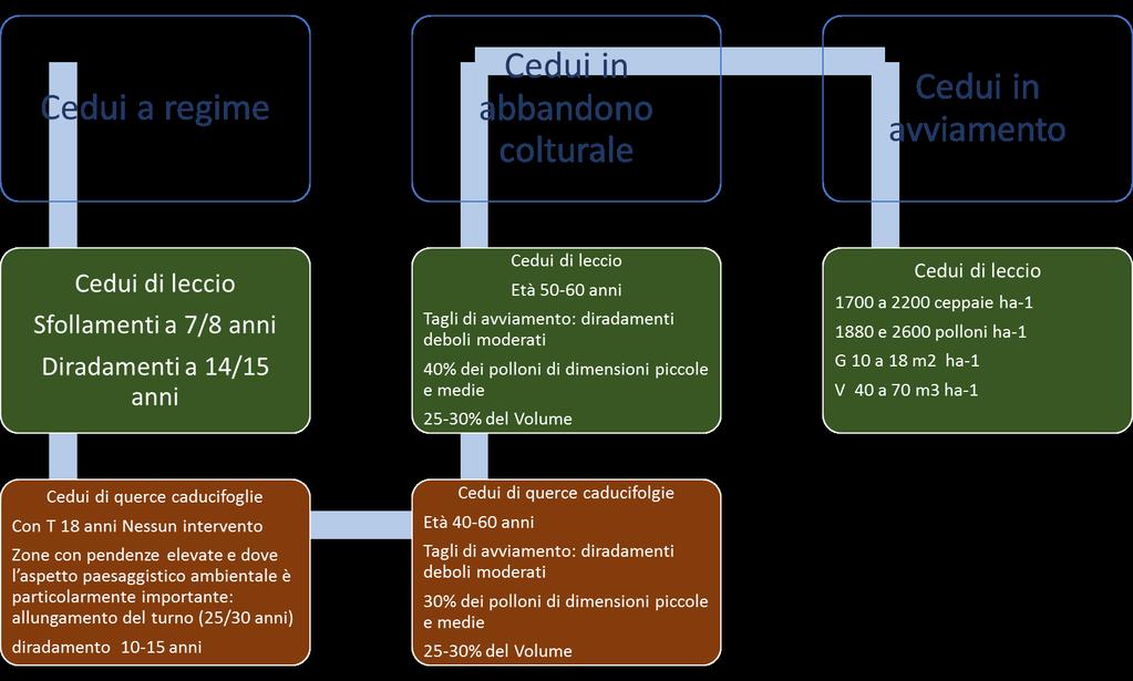 Algoritmi colturali e modalità di intervento