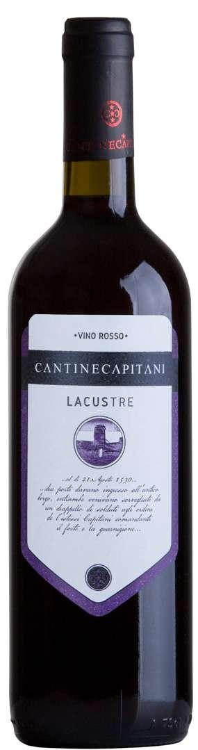 LACUSTRE VINO ROSSO Vitigno: Sangiovese e Montepulciano Densità d impianto (ceppi per ettaro): 4400/ha Resa media di uva per ettaro: 60hl/ha Epoca di Vendemmia: seconda decade di Settembre