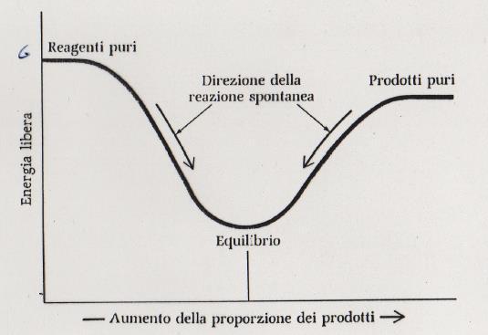 IL SISTEMA TENDE A RAGGIUNGERE IL VALORE MINIMO DI G (una sorta di energia potenziale chimica) Il valore minimo di G non è rappresentato