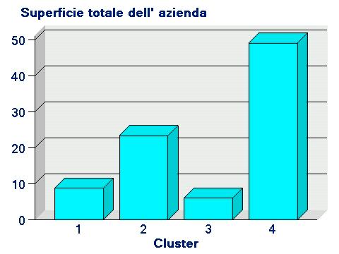 ANALISI DEI GRAFICI RELATIVI ALLE SUPERFICI Definizione dei Gruppi (Clusters): - Cluster 1 AZIENDE DI PICCOLE DIMENSIONI NON SPECIALIZZATE - Cluster 2 AZIENDE DI MEDIE-GRANDI DIMENSIONI ORIENTATE