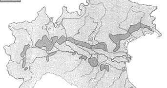 scorrono attraverso sedimenti di ghiaia grossolana quando