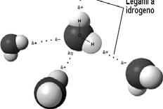 L acqua: una molecola speciale Corso di