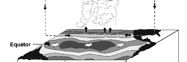 modulo 4: l'idrosfera