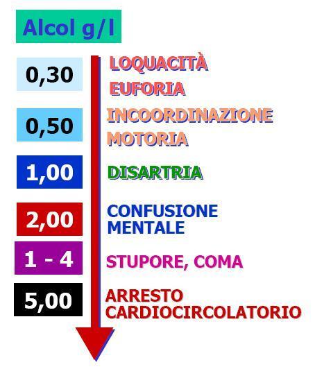 Dipendono dalla sua concentrazione nel sangue (alcolemia) pari allo 0,5 gr/l e dal suo assorbimento.