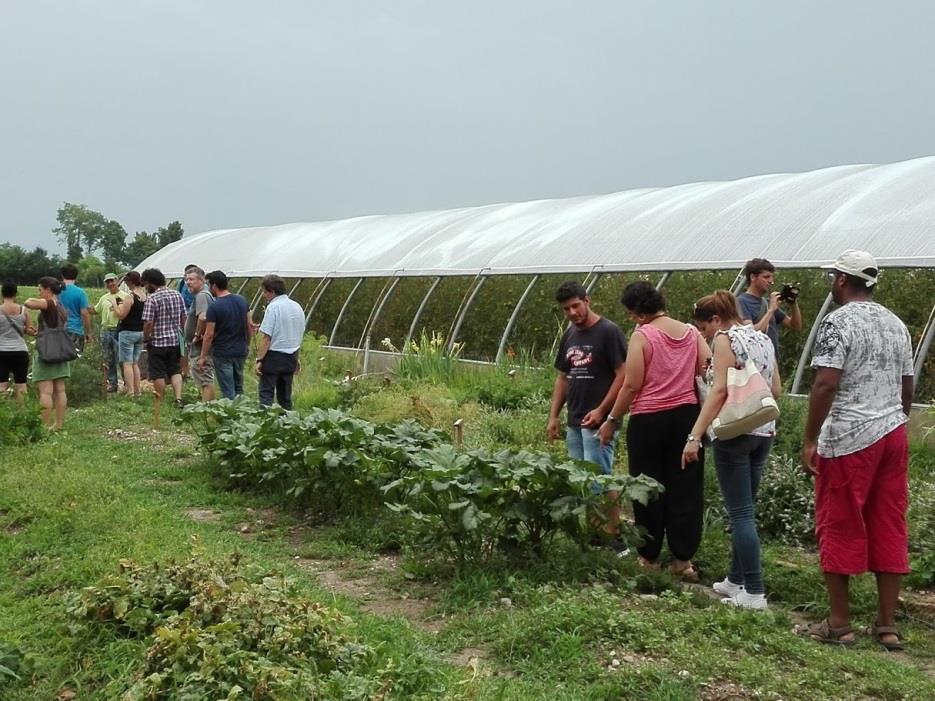 territorio, forma giuridica,