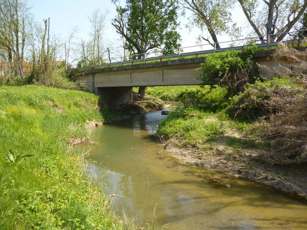 Ponte della SR206 visto da monte In destra è presente un vasto appezzamento agricolo separato dal corso d acqua con un argine in terra.