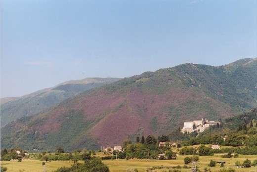 DANNOSITA Defogliazione Bruco misurino Ridotto