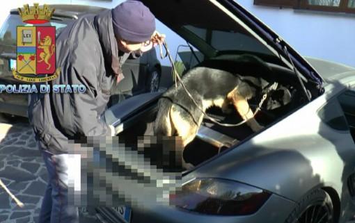 Disoccupato con il Porsche, spacciava droga sul web 1 Il cane antidroga al lavoro durante le perquisizioni sull auto dell arrestato OLGINATE Un Porsche Cayman, tre moto di grossa cilindrata, una