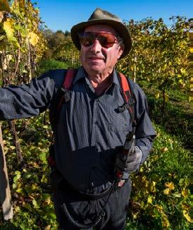 Chi Siamo Abramo In campagna abbiamo la grande esperienza di Abramo Geronazzo che attraverso la cura meticolosa dei vigneti rende possibile la produzione di uve di prima qualità.