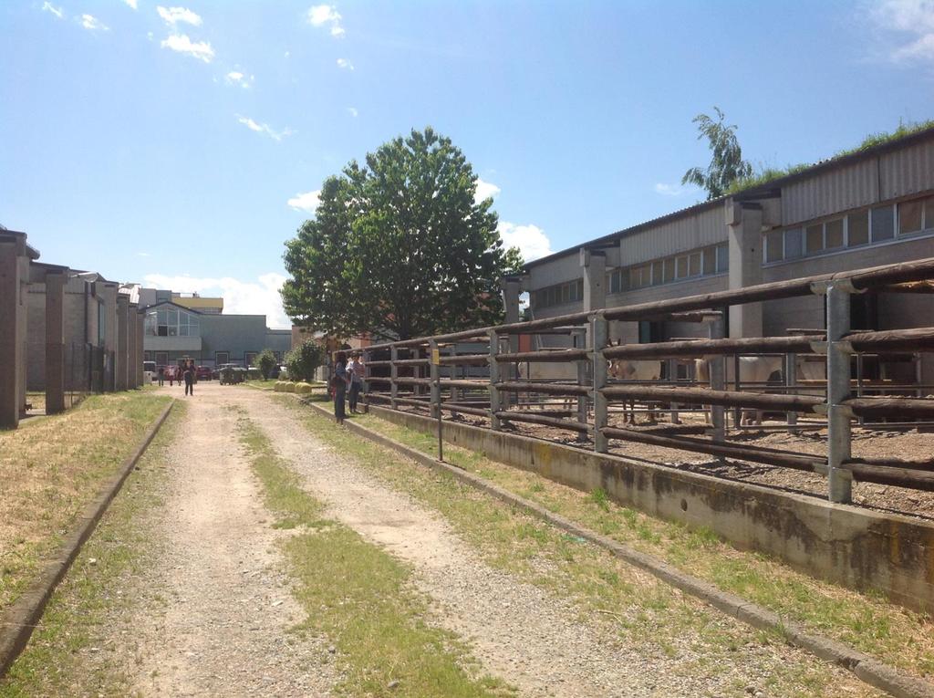 Università degli Studi di Torino Scuola di