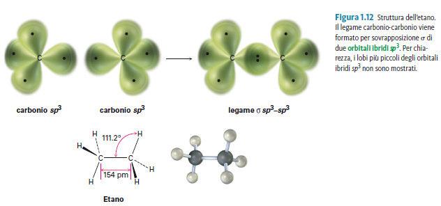 Ibridazione del carbonio sp 3 CH 3 -CH 3 L atomo di carbonio può formare legami singoli, doppi o tripli.
