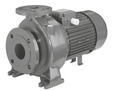 Elettropompe centrifughe monoblocco secondo EN 733.