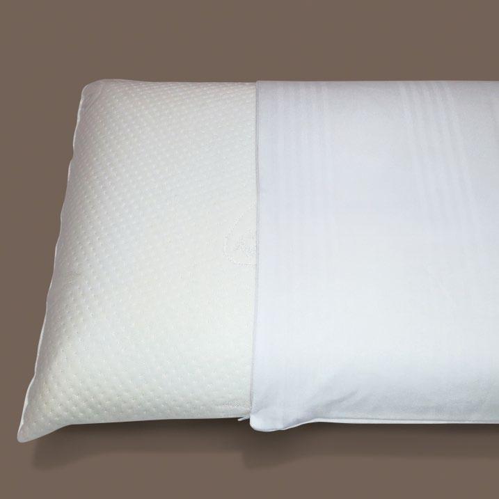 Tebro produces many types of pillows: hypoallergenic, goose feather,