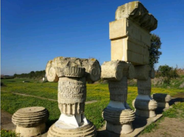 In origine aveva esternamente 6 colonne sul lato corto e 12 colonne sul lato lungo. Parco Archeologico È una bellissima area archeologica, situata tra le foci dei fiumi Bradano e Basento.