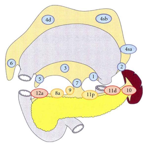 LYMPH NODE DISSECTION ACCORDING TO THE Japanese Gastric Cancer Association D1 : blue circle D1+ : Yellow circles D2 : Red circles 110 110 Anche le linee guida Europee, alla pari di quelle orientali,