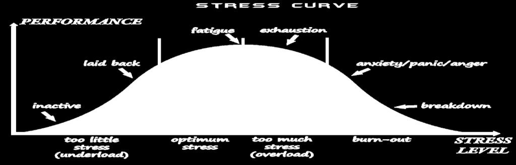 DALLO STRESS CRONICO - I DSA