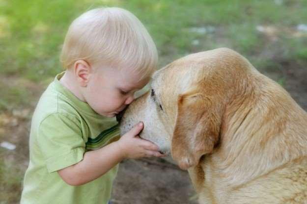 IL MIO CANE PUZZA.