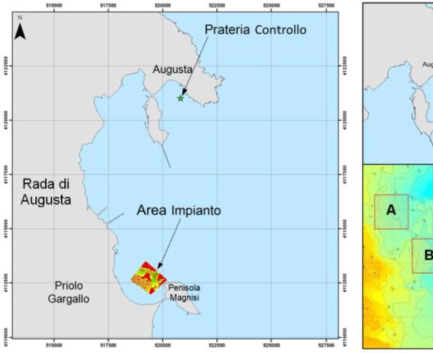 B A Figura 4a - Mappe delle aree di Controllo (Prateria donatrice) e di Trapianto Area A c Area B a d b Figura 4b - Rappresentazione del disegno sperimentale.