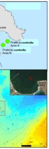 Nei quadrati blu era prevista anche la posa di 12 moduli di reef artificiali in calcestruzzo per il ripopolamento.