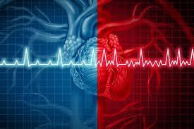 La frequenza cardiaca e i fattori che la influenzano La frequenza cardiaca è il numero di battiti del cuore al minuto (bpm).