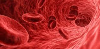 Resistenza vascolare o periferica Con tale termine si indica la resistenza che incontra il flusso sanguigno lungo i vasi e che deve essere superata per spingere il sangue nel sistema circolatorio.